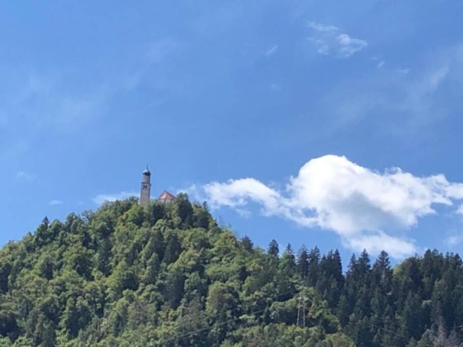 Holiday Guesthouse La Casina Di Butzi Pet Friendly - Terme Di Arta - Zoncolan Arta Terme Kültér fotó