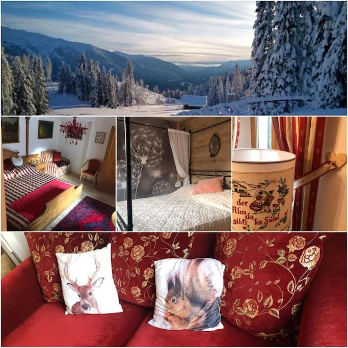 Holiday Guesthouse La Casina Di Butzi Pet Friendly - Terme Di Arta - Zoncolan Arta Terme Kültér fotó