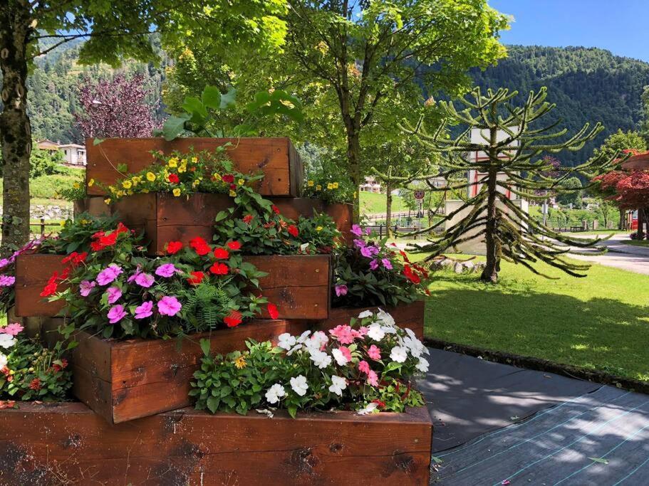Holiday Guesthouse La Casina Di Butzi Pet Friendly - Terme Di Arta - Zoncolan Arta Terme Kültér fotó