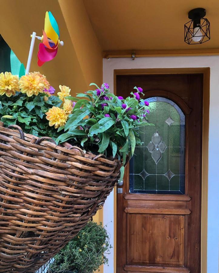 Holiday Guesthouse La Casina Di Butzi Pet Friendly - Terme Di Arta - Zoncolan Arta Terme Kültér fotó