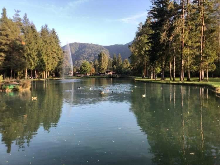 Holiday Guesthouse La Casina Di Butzi Pet Friendly - Terme Di Arta - Zoncolan Arta Terme Kültér fotó